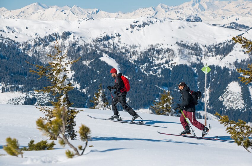 Two people with touring skis ascend a signposted route at Shuttleberg in sunny weather | © SHUTTLEBERG GmbH & Co KG