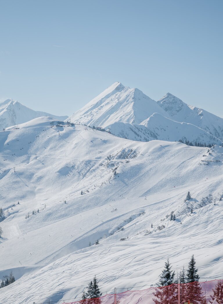 Snow-covered Alpine slopes with ski tracks, trees and mountain peaks in sunshine | © Ski amadé GmbH