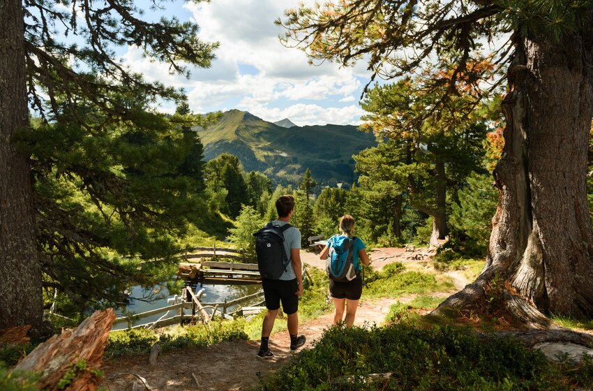 Zwei Wanderer mit Rucksack auf Waldpfad beim Graukogel, mit Blick auf Berge und kleinen Wasserlauf im Sommer | © Gasteiner Bergbahnen AG